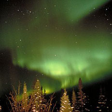 Polar auroras