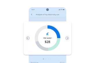 A cell phone screenshot showing the breakdown of electricity consumption per use and highlighting an amount of $28 for hot water use.