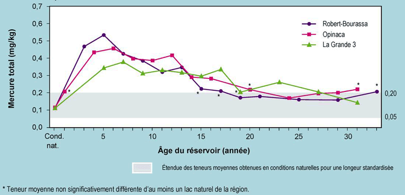 La figure 1.4 montre que dans les grands corégones (poissons insectivores) des réservoirs du secteur ouest du complexe La Grande, les teneurs en mercure ont augmenté pendant une vingtaine d’années, puis sont redevenues équivalentes à celles mesurées dans les lacs naturels de la région.