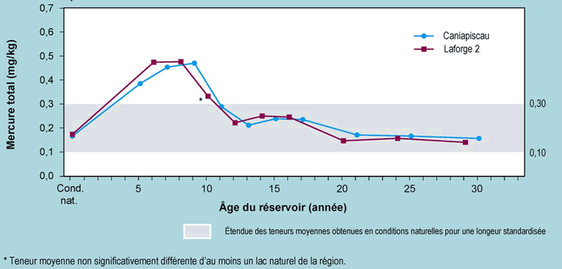 La figure 1.5 montre que dans les grands corégones du secteur est du complexe La Grande, le retour aux teneurs équivalentes à celles mesurées dans les lacs naturels de la région s’est effectué en dix ans.