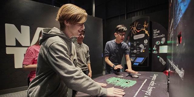 Visiteurs testant la vitesse de leurs réflexes.