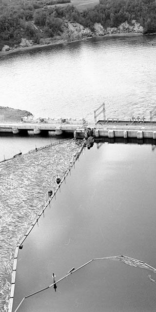 Billots de bois prêts à passer dans la passe à billes intégrée à la centrale.